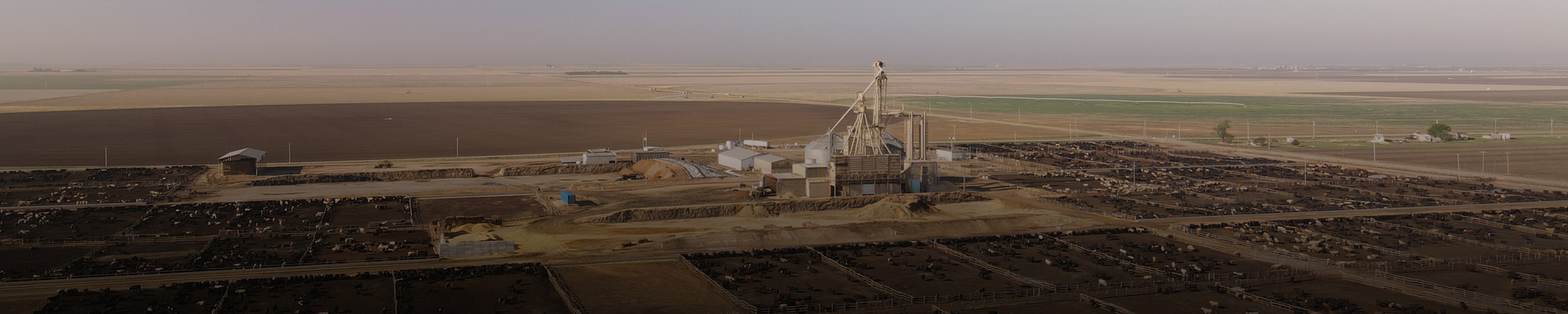 Aerial panoramic of a Friona feedyard