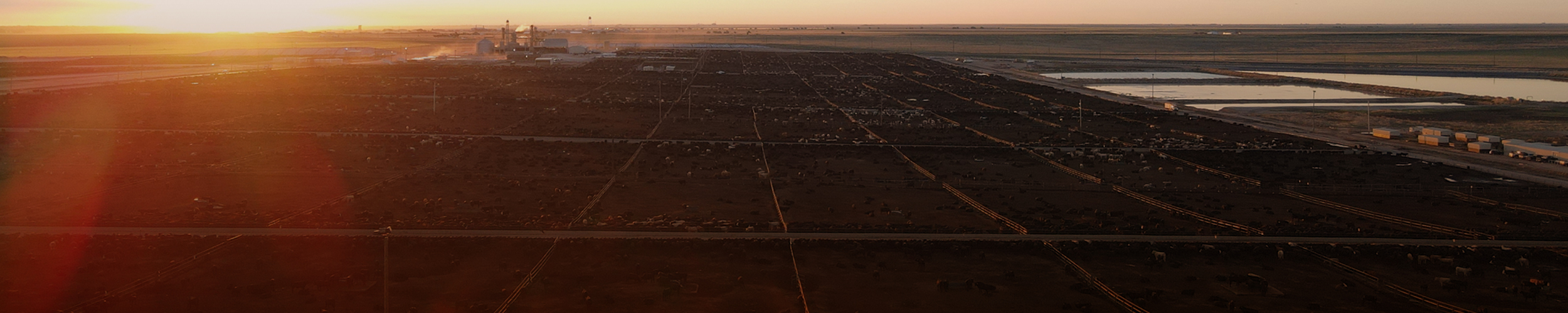 Aerial panoramic of a Friona feedyard at sunrise