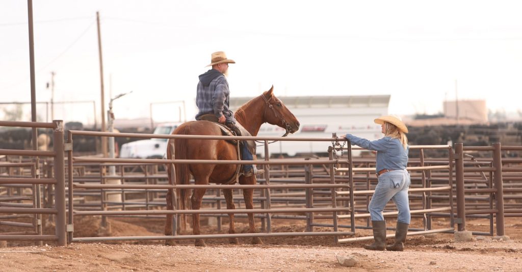 Male Friona employee on horseback talking to female Friona employee standing