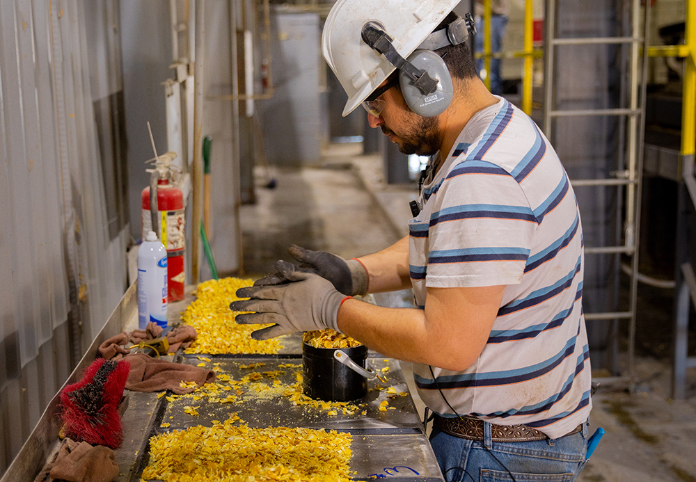 Male Friona employee wearing a hardhat, ear muffs and safety glasses