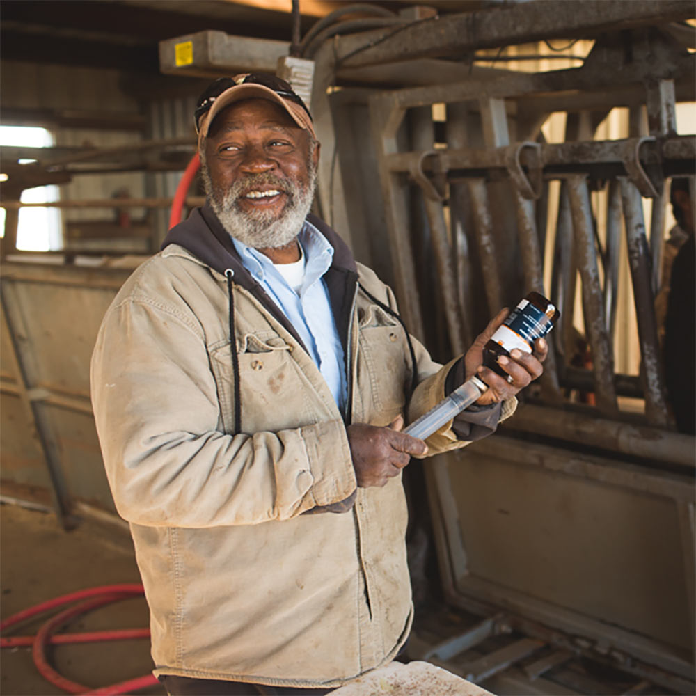 Male Friona employee preparing a syringe of cattle medication