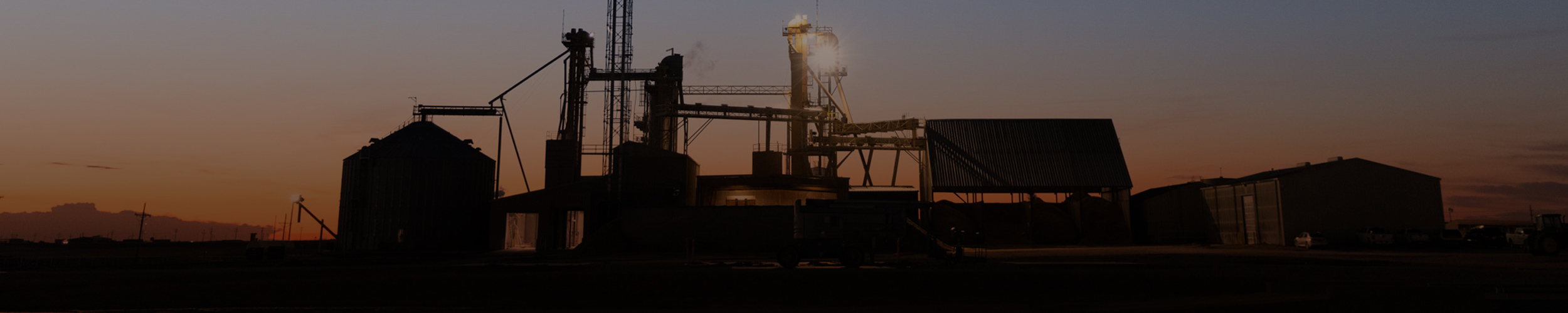 Feedyard at dawn