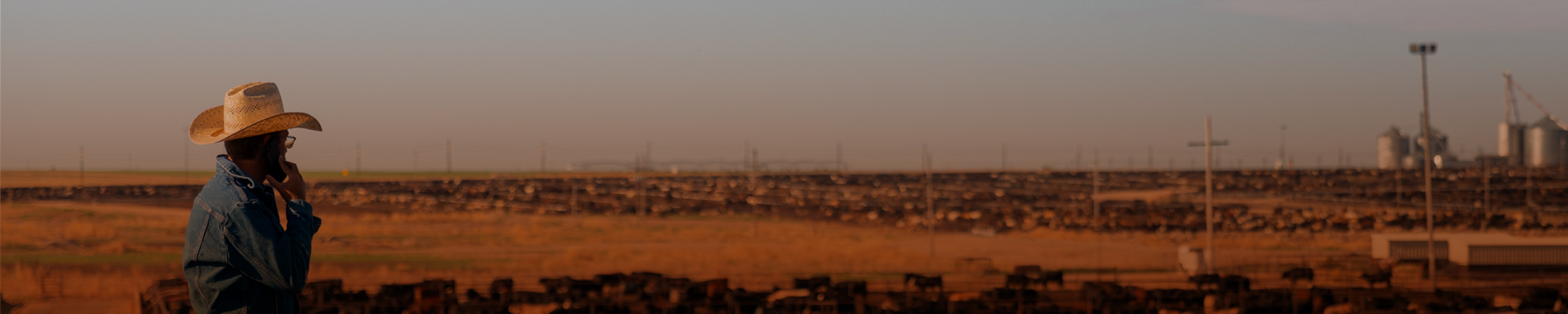 Male Friona employee on the phone standing outside cattle pens